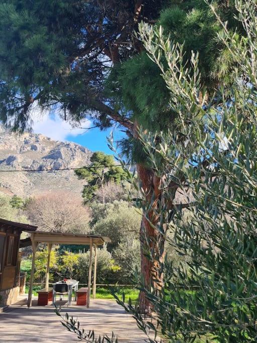 Annas Cozy Cottage Kalymnos Panormos  Exteriér fotografie